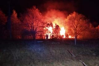 Pożar domków letniskowych w podbydgoskim Borównie! [ZDJĘCIA]