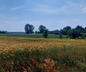 Wykluczenie komunikacyjne, między powiatami bydgoskim i chełmińskim