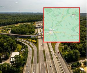 Niewiarygodny pomysł na nowy podział Polski! Które województwa znikną z mapy kraju?
