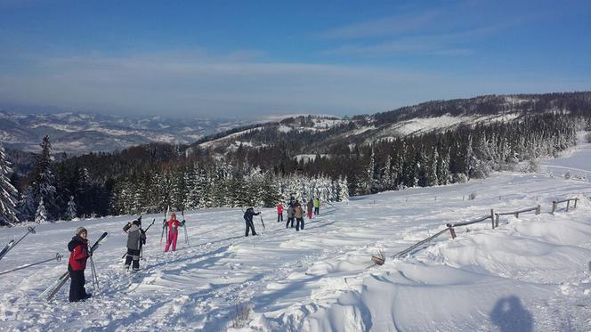 Te widoki zapierają dech w piersiach! Nie uwierzysz, że są tak blisko!