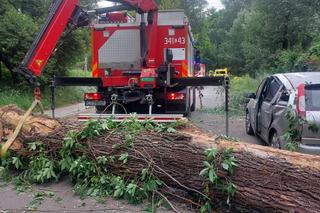 Drzewo runęło na samochód. Przerażający wypadek w Toruniu