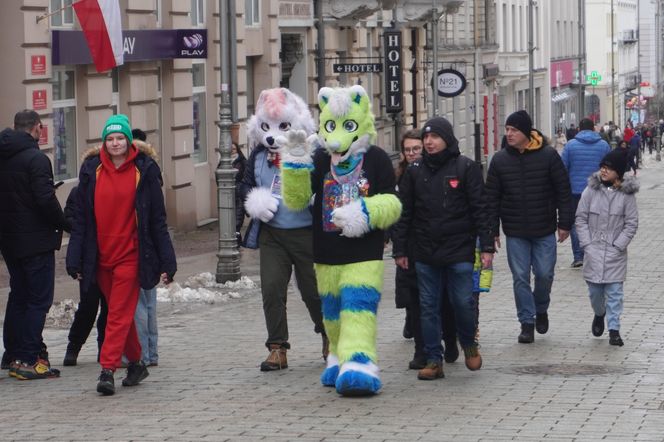 33. Finał WOŚP w Kielcach. Ulica Sienkiewicza