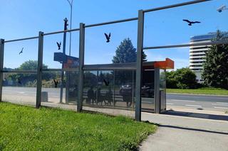 Rodzina nie chciała sekcji zwłok mężczyzny, który zmarł pod szpitalem