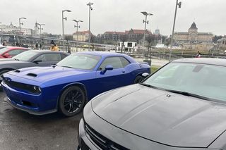 Szczecińskie Am'cary podczas 33. finału WOŚP