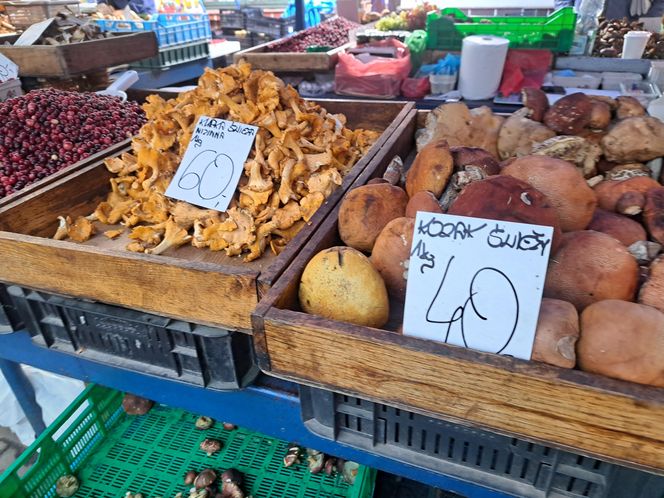 Ceny grzybów na Nowym i Starym Kleparzu w Krakowie