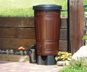 Poznań zazielenia szkoły. Zamiast betonu – ogrody, łąki i domki dla owadów