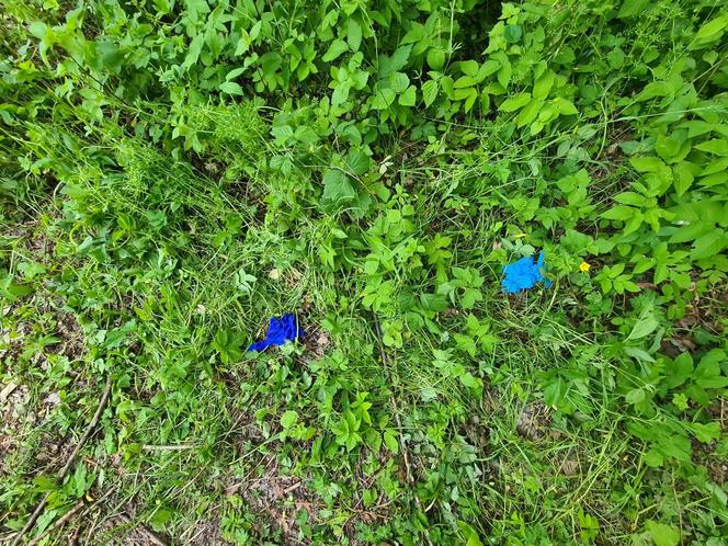 14-latek zginął rażony prądem. Dramat w Krośnie [GALERIA]