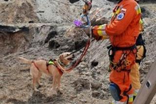 Psy ratownicze i ciężki sprzęt. Małopolscy strażacy szkolili się z działań ratowniczych podczas zapadlisk