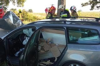 Samochód wbił się w drzewo niedaleko Strzelec Krajeńskich. Kierowca cudem przeżył!