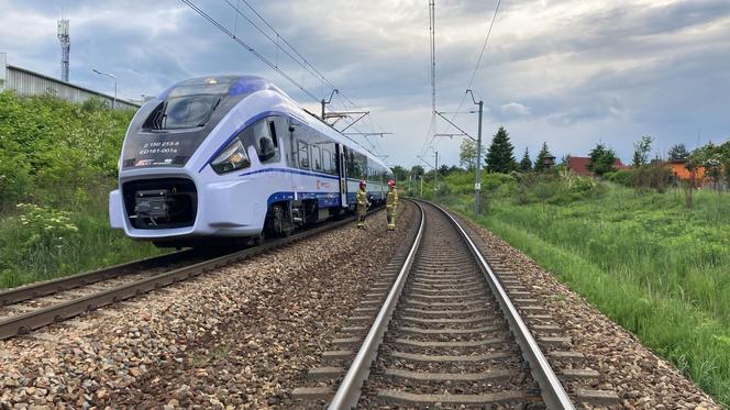 Budowa kolei dużych prędkości. Ministerstwo Infrastruktury: cel Polski i Czech