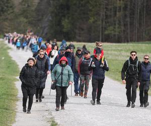 Tłumy w Tatrach przed majówką. Dolina Kościeliska