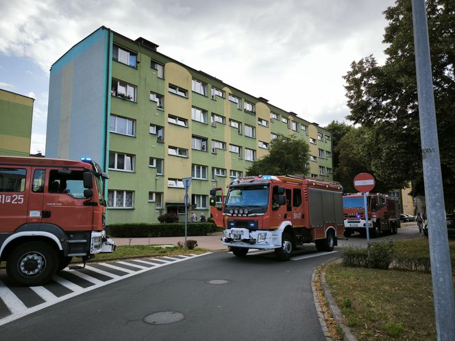 Zadymienie