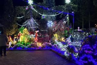 Świąteczne Las Vegas w Sieradzu zapiera dech w piersiach