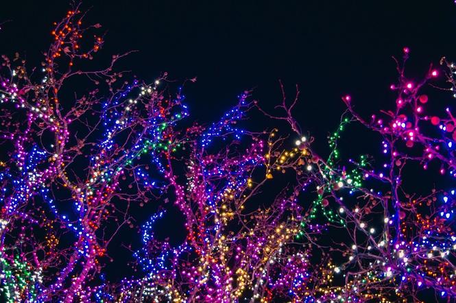 Iluminacja świąteczna w Warszawie - kiedy rozświetli ulice? [DATA]