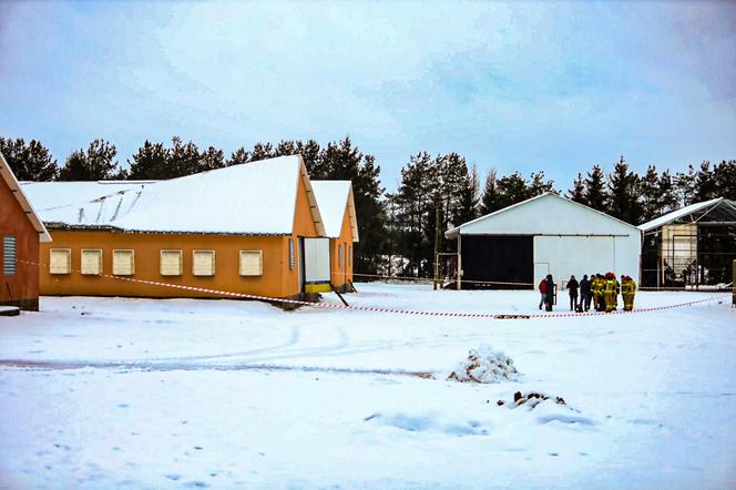 Zawalił się dach kurnika. Skomplikowana akcja we wsi Występ