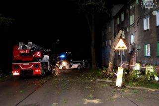 Bytom. 44-latek roztrzaskał auto na drzewie. Ford został zmiażdżony