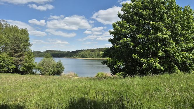 To jezioro w Olsztynie ma niezwykle czystą wodę. Jest kilka dzikich plaż, które świecą pustkami