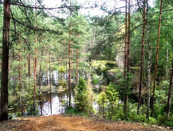 Kolorowe jeziorka w Bibieli na Pasiekach to atrakcja województwa śląskiego