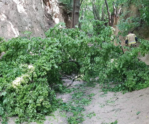 Paskudny wypadek na wycieczce. To uczniowie z Warszawy!