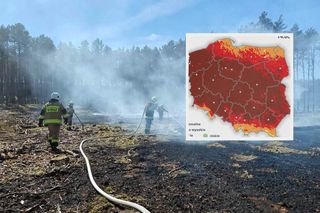 W lasach może być niebezpiecznie. Wydano ważny komunikat