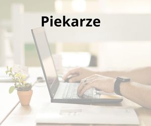 Tych pracowników najbardziej brakuje na Podkarpaciu