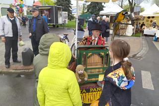 13. Jarmark św. Stanisława w Siedlcach - fotorelacja