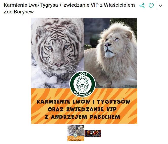 Karmienie lwa lub tygrysa i zwiedzanie VIP Zoo Borysew