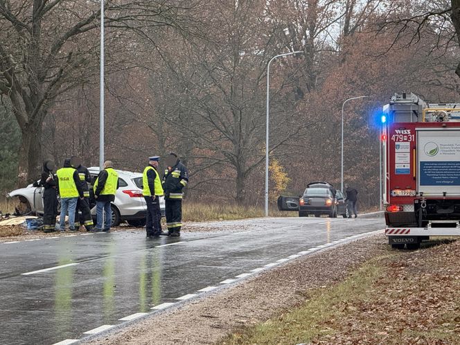 Po uderzeniu w drzewo, z auta wypadł silnik. Kierowca nie miał szans. Zginął na miejscu