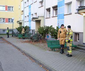 Wielka ewakuacja we Wrześni. Ponad 360 osób musiało opuścić swoje mieszkania! [ZDJĘCIA]