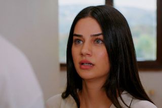 Miłość i nadzieja, odcinek 277. Bahar, Kuzey