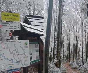 Pierwszy śnieg w Bieszczadach już spadł. Niezwykłe zimowe widoki 