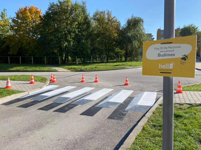 Trójwymiarowe przejścia dla pieszych powstały w Polsce. Robią furorę! [ZDJĘCIA]