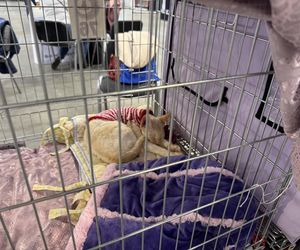 ZooPark w Lublinie. Dzień drugi