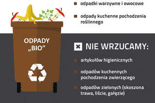 RZESZÓW: Jak segregować odpady?