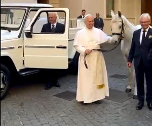 Papież Leon XIV otrzymał w środę białego konia czystej krwi arabskiej ze stadniny w Kołobrzegu-Budzistowie