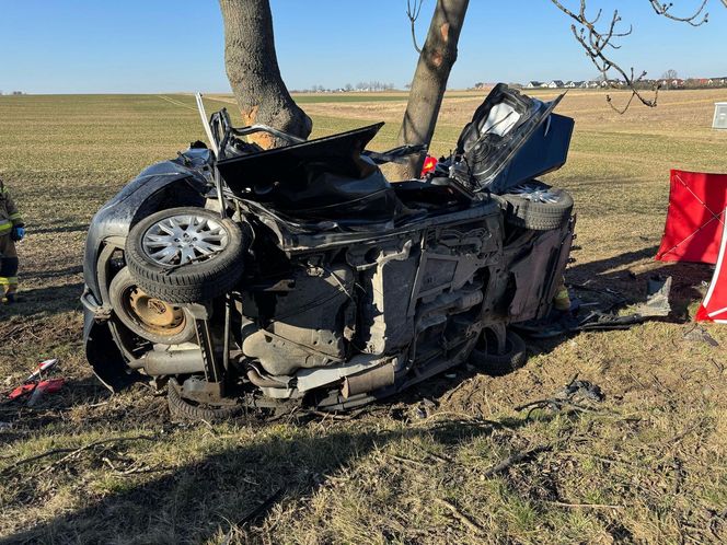 Śmiertelny wypadek pod Nysą. Cztery osoby zginęły po uderzeniu w drzewo [ZDJĘCIA]