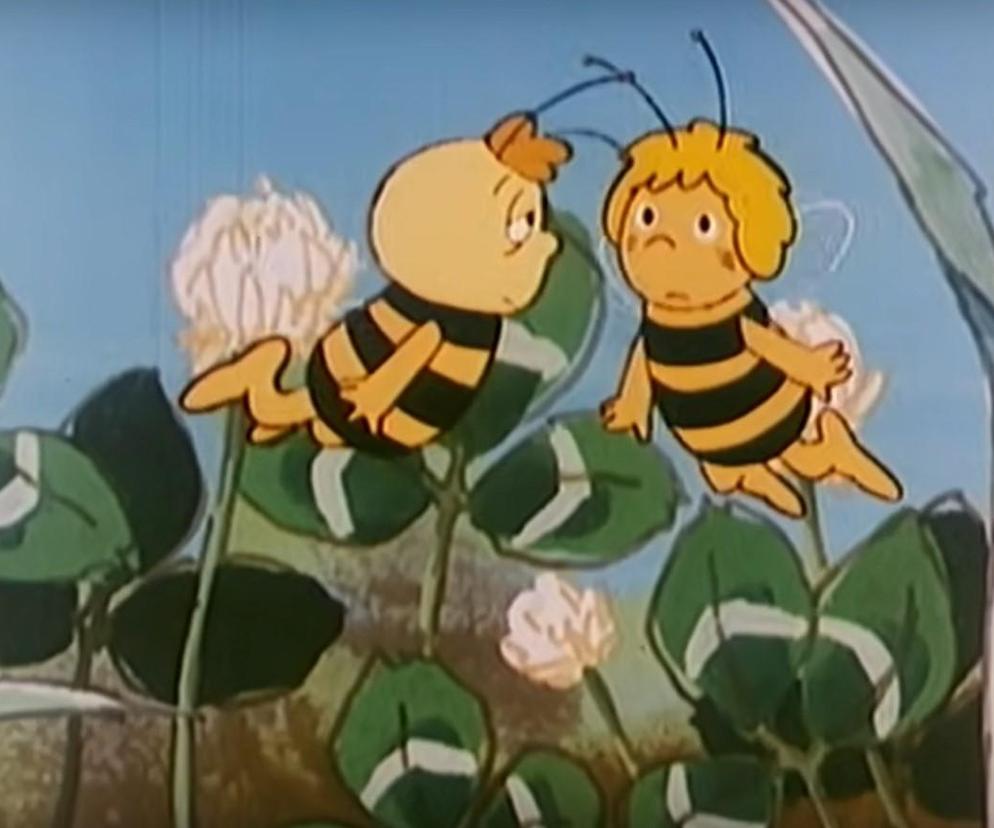 „Pszczółka Maja”. Pamiętasz tą kultową bajkę? [QUIZ]