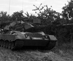 Leopard 1 