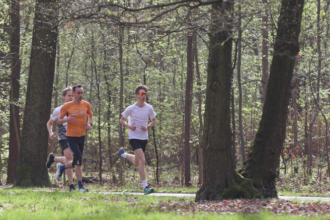 Parkrun Katowice. Wielkanocne bieganie w Parku Kościuszki