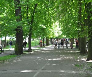 Kielce. Święto Konstytucji 3 Maja (2025)