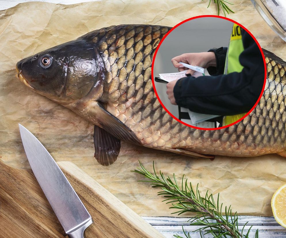 Kupujesz żywego karpia na święta? Możesz dostać srogi mandat! Nie rób tego pod żadnym pozorem