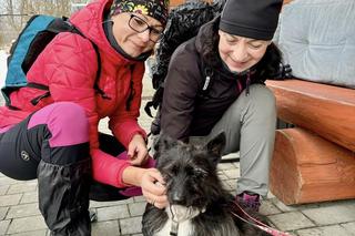 Przeszli w marszu nordic walking dookoła Nowego Sącza 