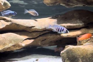 Rozmawiamy z Tomaszem Wiśniewskim, założycielem Aqua Dreams Bydgoszcz