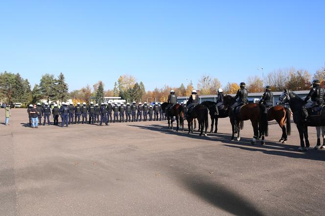 Atestacja koni służących w łódzkiej policji i straży miejskiej