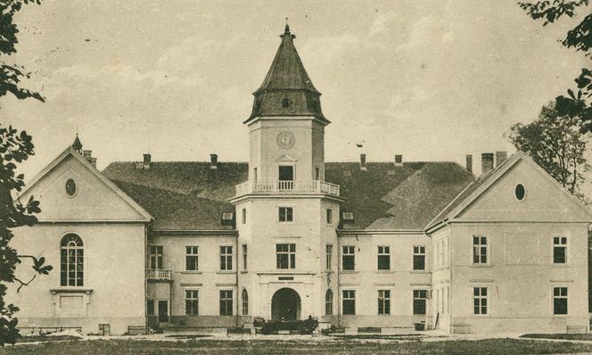 Zamek Tarnowskich w Dzikowie
