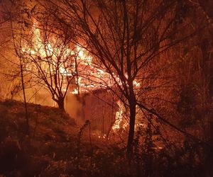 Pożar pustostanu przy ulicy Nadbystrzyckiej w Lublinie! Zginęły trzy osoby