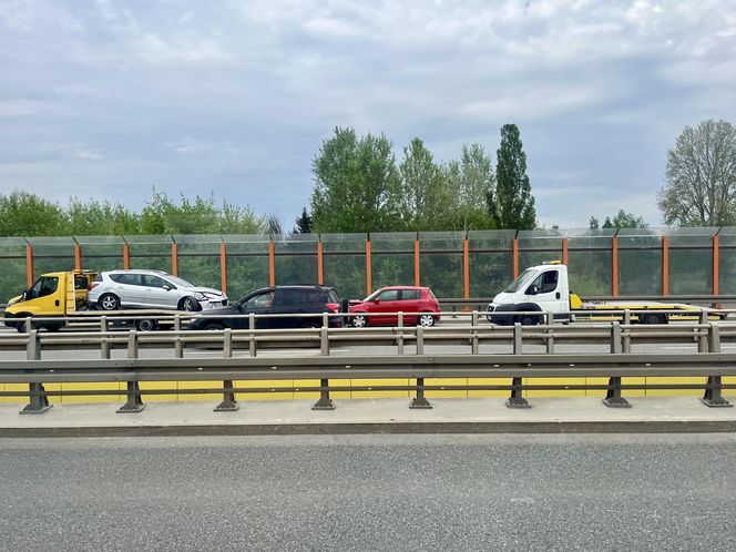 Warszawa sparaliżowana! Karambol po potrąceniu dzika. Kosmiczny korek aż do Marsa