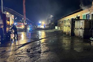 Pożar chlewni pod Piotrkowem Trybunalskim. Ponad 2 tysiące zwierząt zginęło