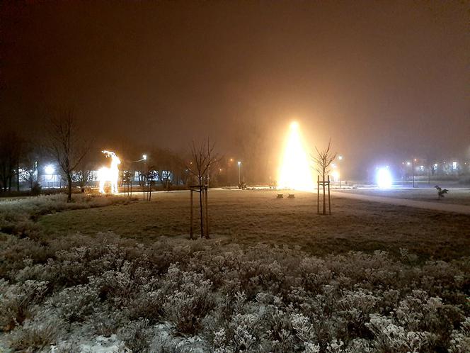 Ze szronem są jeszcze piękniejsze! Świąteczne iluminacje w Łomży