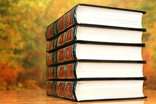 7. Poradnik/Podręcznik - 21,73%